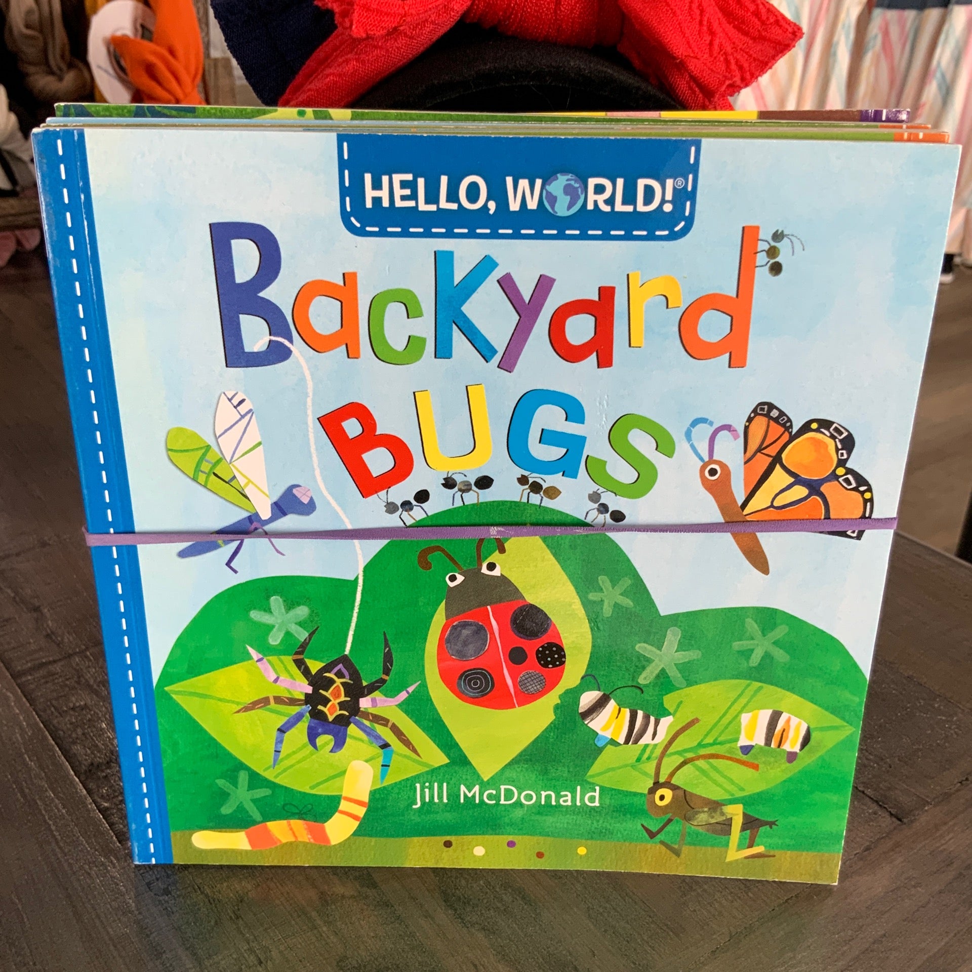 Hello world bug book sets